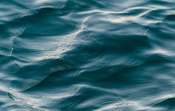 Havet